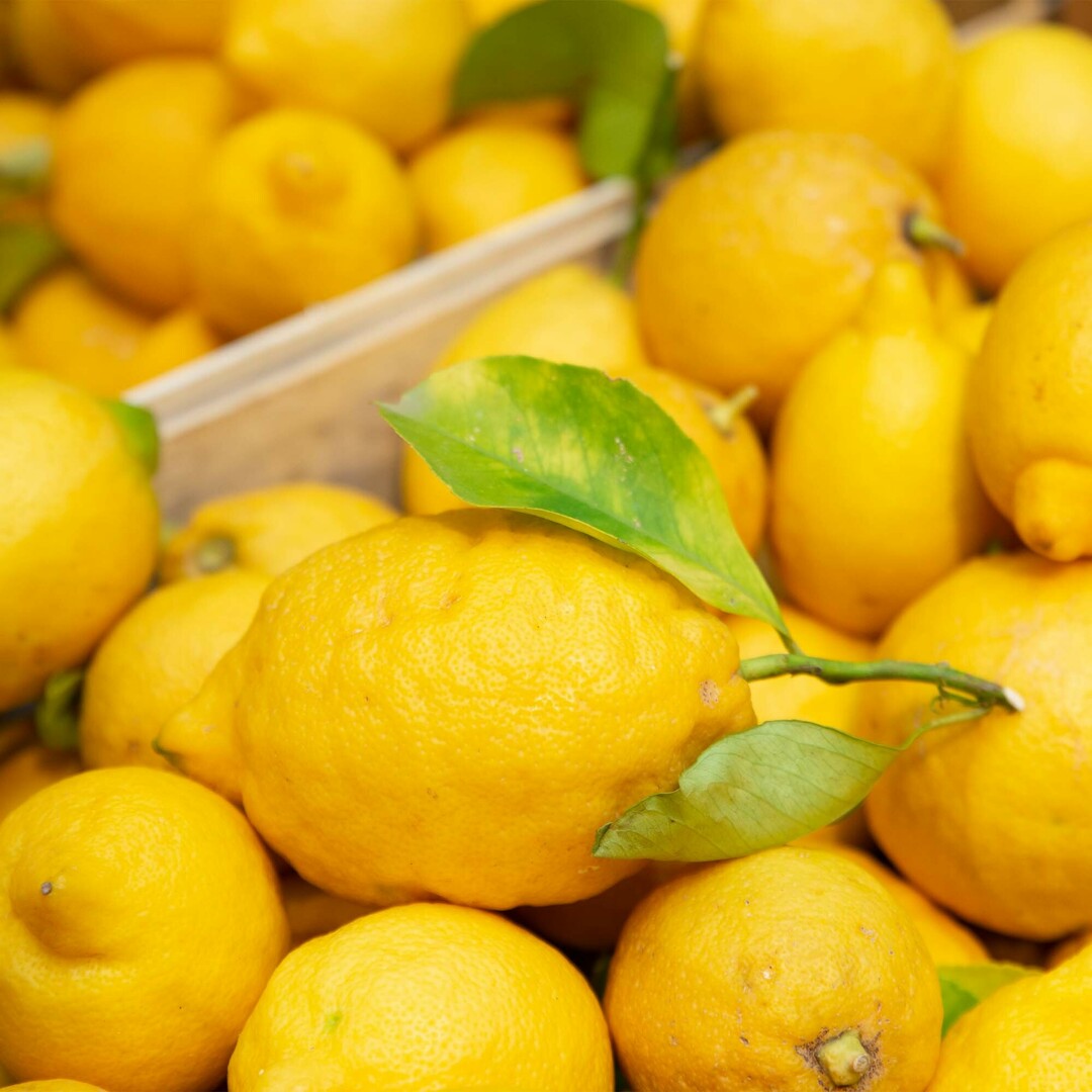 les citrons d'Amalfi disponible dans tous nos marchés CRU.